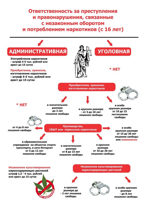 Статья: Уголовная ответственность за хранение наркотических средств